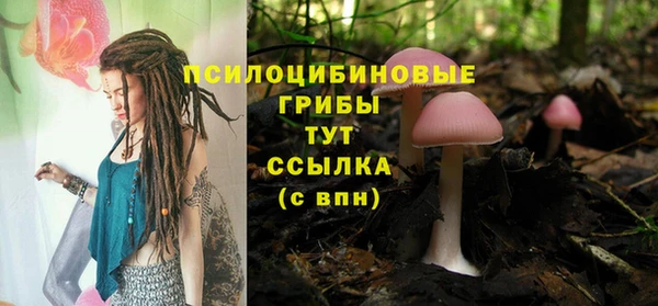 трава Абинск
