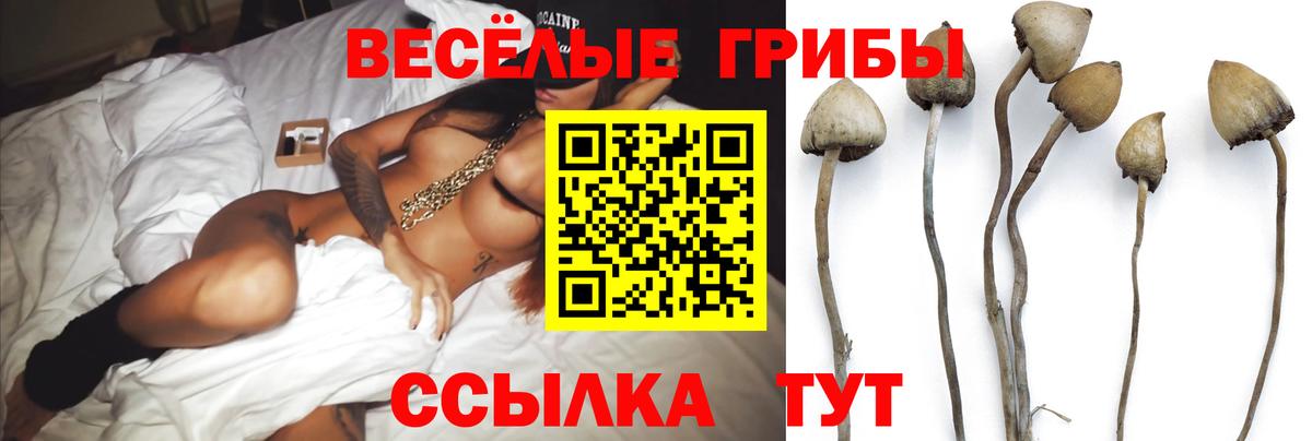 Магнитогорск  Галлюциногенные грибы прущие грибы  Вход с VPN 